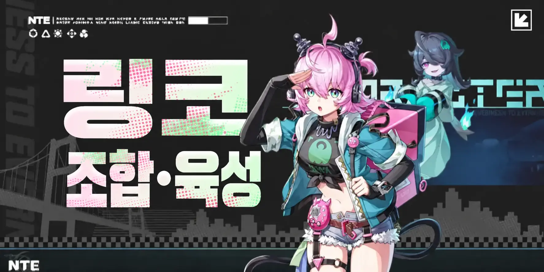 이환 링코