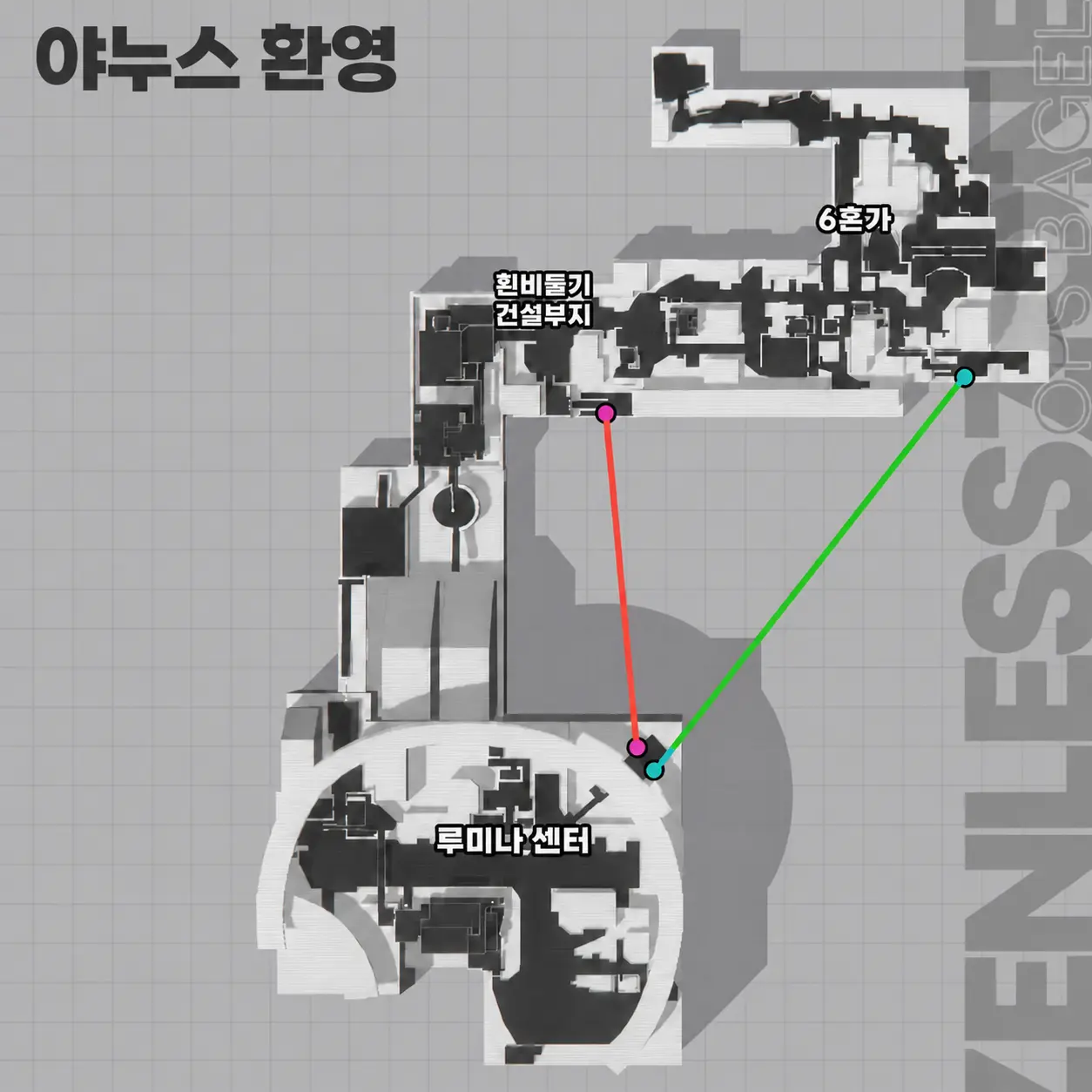 야누스 환영 동선